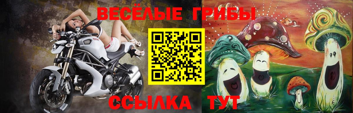 Галлюциногенные грибы MAGIC MUSHROOMS Полевской